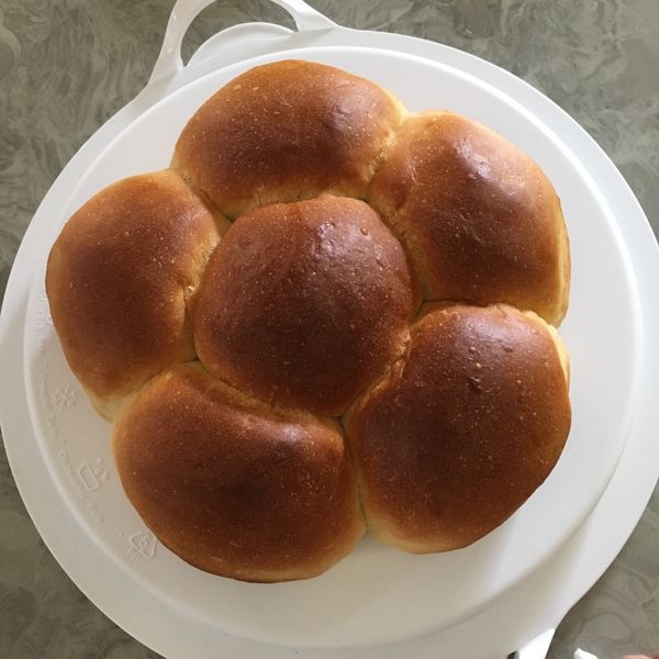 基本款~鮮奶小餐包 : Jia Lin一起做