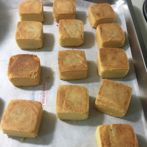 undefined：夢幻甜森林 一起做