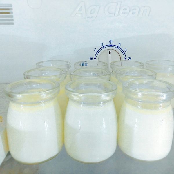 超簡單超奶奶酪(吉利丁粉版) : 咲咲一起做