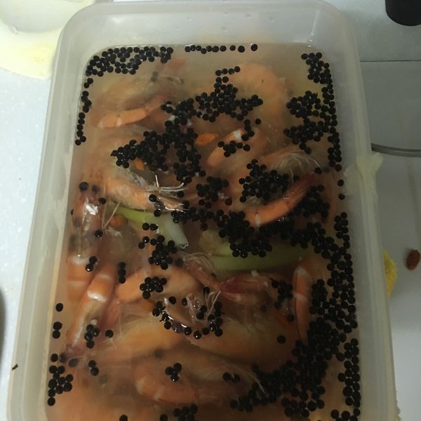 醉香馬告冷蝦【38度金門高粱酒】 : Michelle一起做