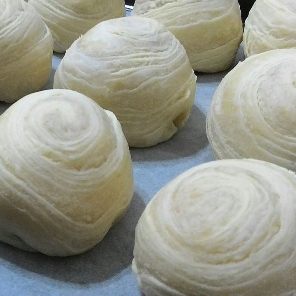 蛋黃酥/芋頭酥 : 細菌一起做