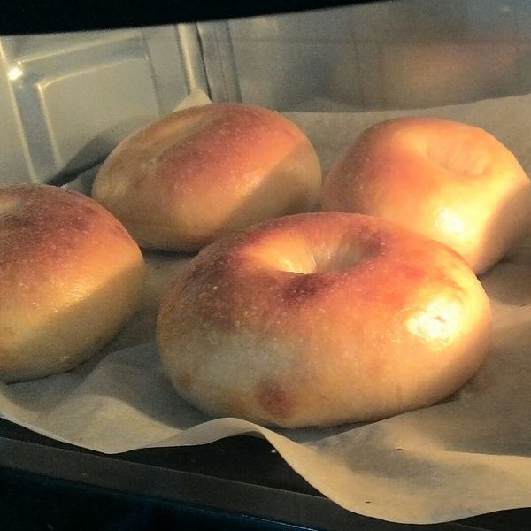 原味/芝麻貝果 : 細菌一起做