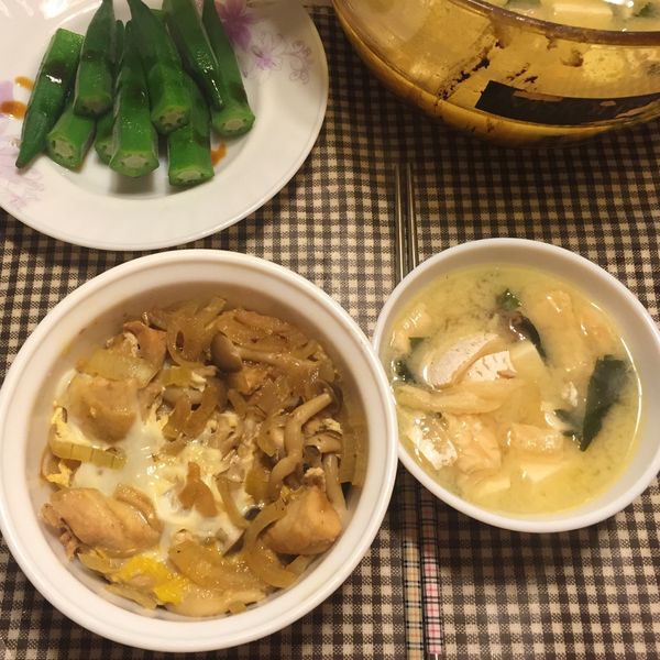 親子丼 : Irene Yen一起做