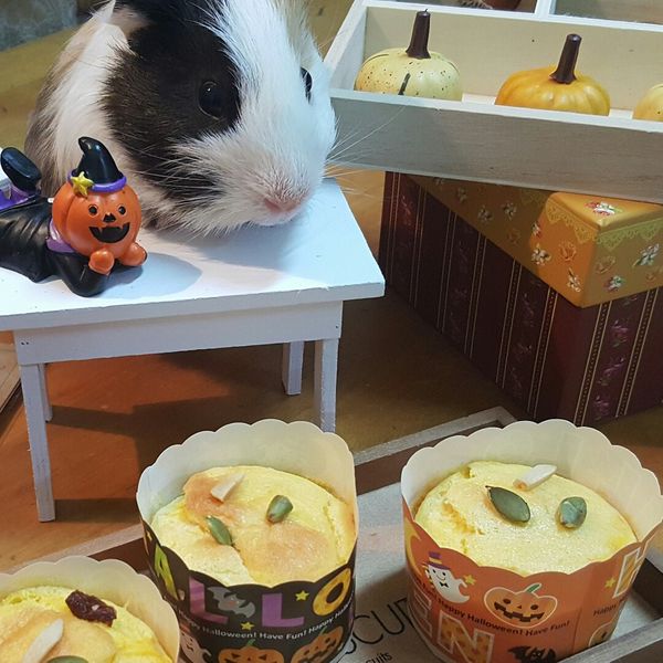 南瓜杯子蛋糕（簡單鬆軟化口版）：Tiffany Tu 一起做