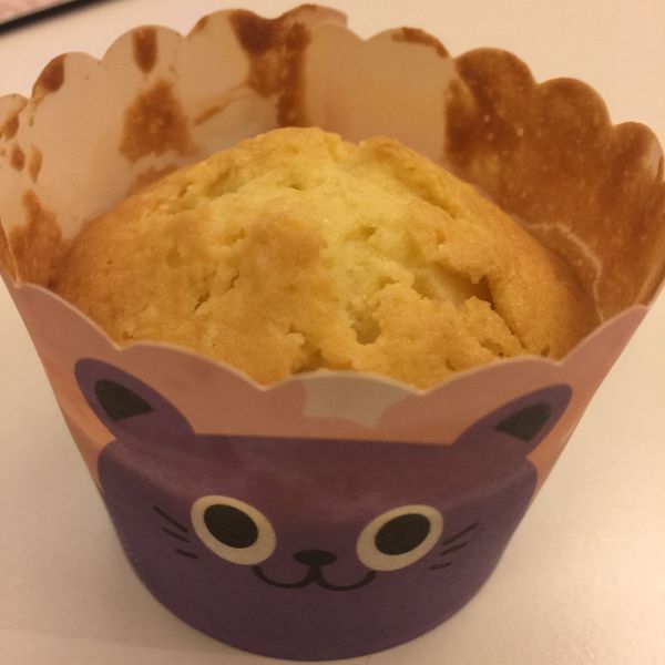 undefined：Yuri Fu 一起做