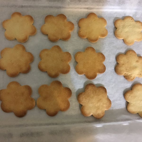 undefined：熒熒 一起做