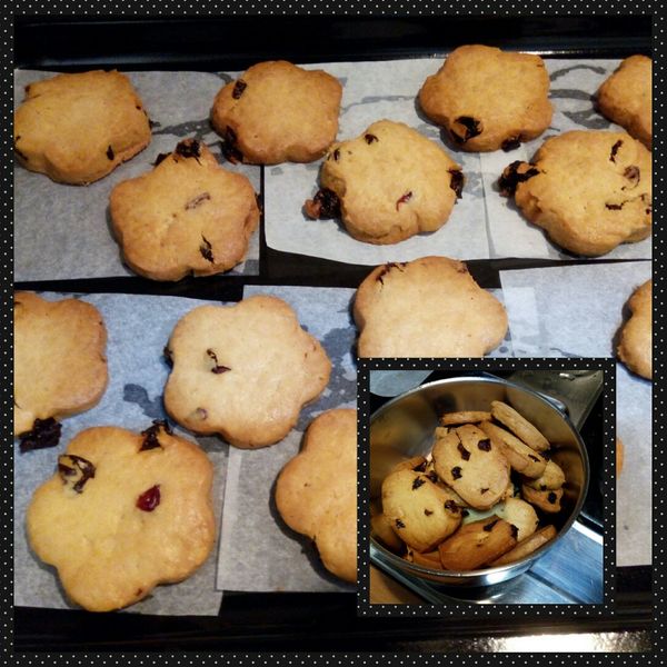 口感酥脆 - 葡萄乾小圓餅乾：橘子橘 一起做