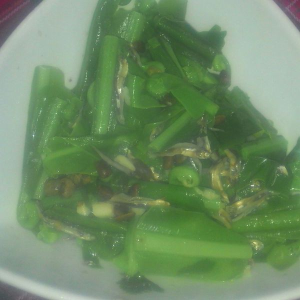 undefined：淑慧 一起做