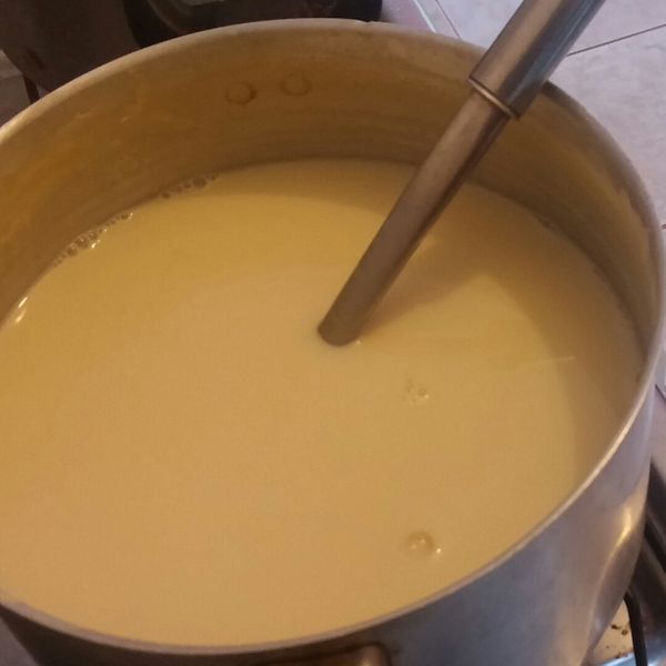 undefined：Angel Miller Bas 一起做