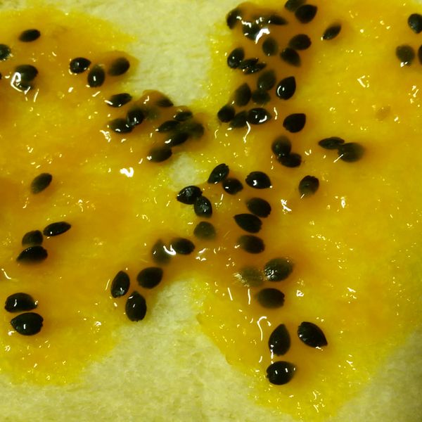 かにの百香果醬：YY 一起做