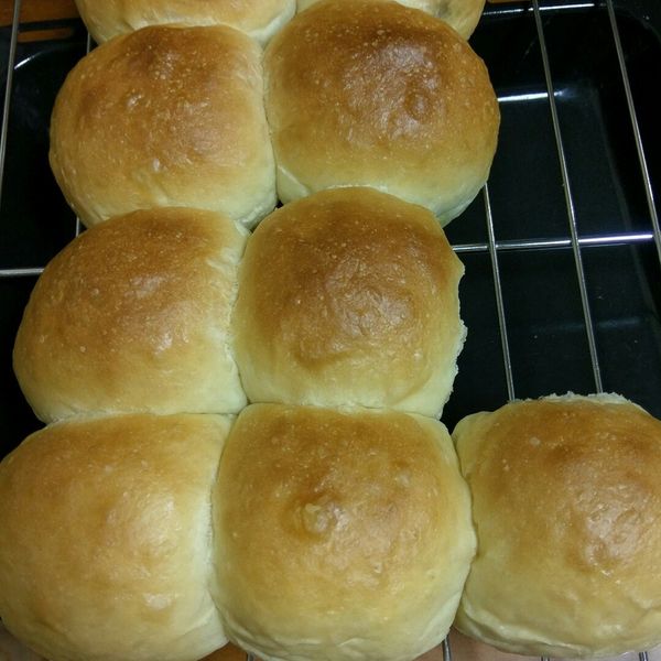 基本款~鮮奶小餐包 : 蘋果妹一起做