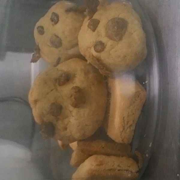 一口咬下超療癒的手作萌狗餅乾 : 晴一起做