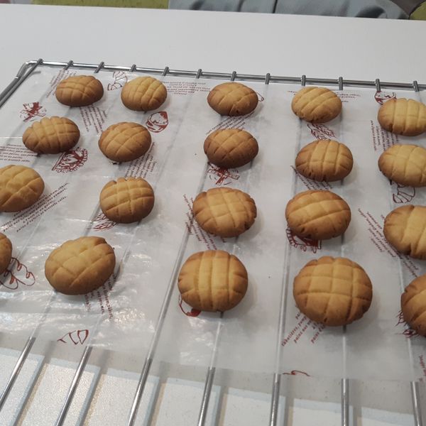 undefined：楊安琪 一起做