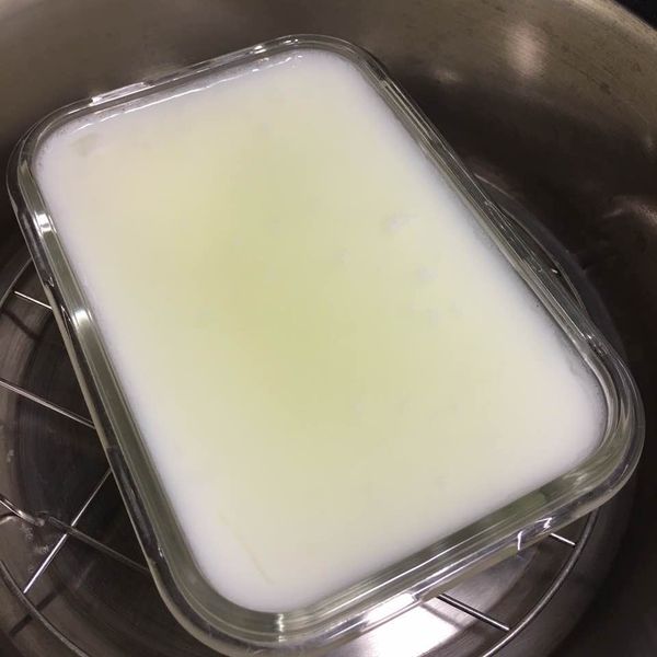 自製『原味優格』電鍋版 : 貪吃美少女一起做