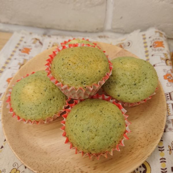 Starfish Chien一起做