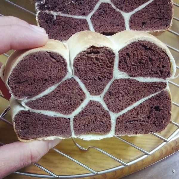 長頸鹿❤️巧克力鮮奶吐司❤️ : 蕭時珮一起做