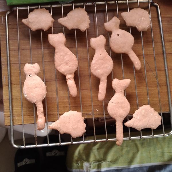 巧克力動物造型餅乾 : momo一起做