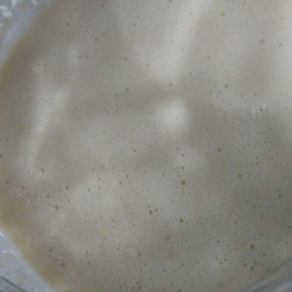 蘋果天然酵母培養記錄:kimo 一起做