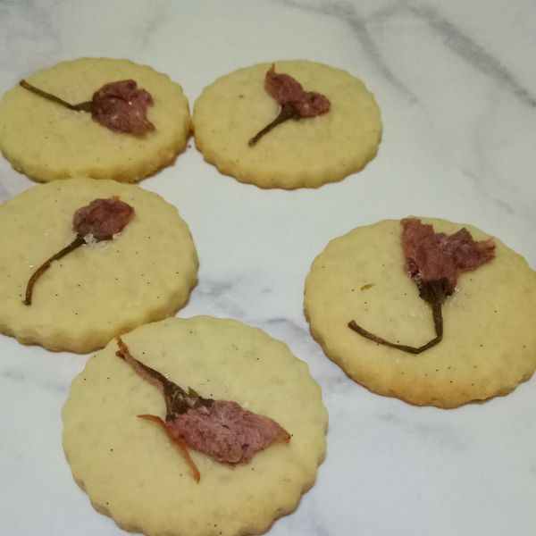 undefined：莊惠伶 一起做