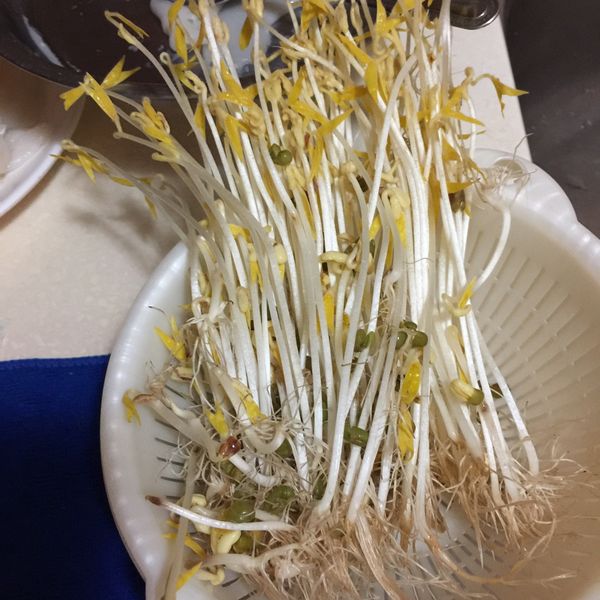 undefined：Jing 一起做