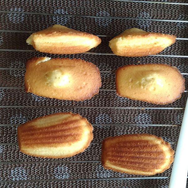 蜂蜜瑪德蓮-原味.可可.抹茶 : momo一起做