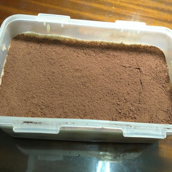 棉花糖提拉米蘇:張小草 一起做