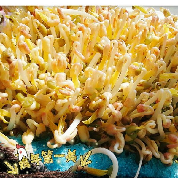 undefined：popo豆豆2 一起做