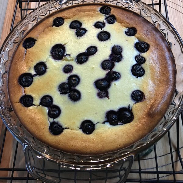 優格起司蛋糕:Daisy Chou 一起做