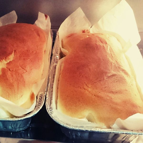 undefined：Engel Su 一起做