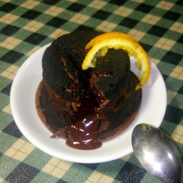 提拉米貓一起做