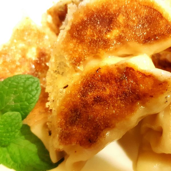 金黃脆底日式煎餃:安妮 一起做