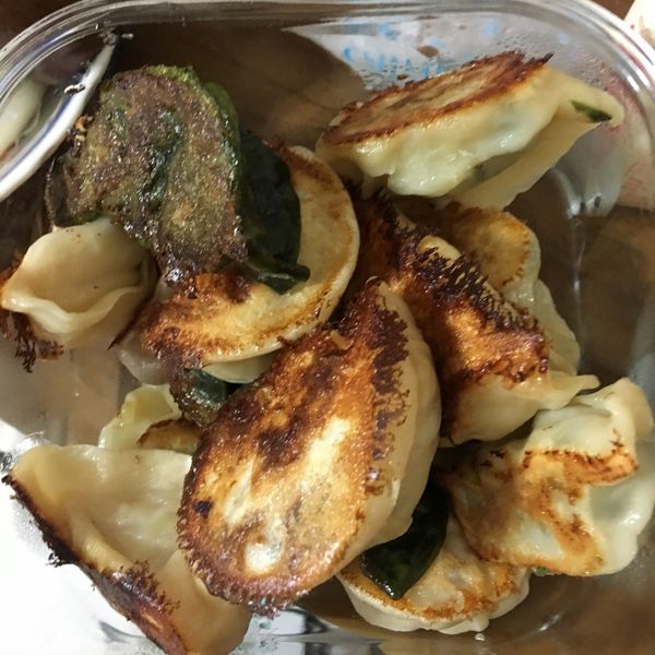 煎冷凍水餃(無麵粉水) : 樂樂一起做