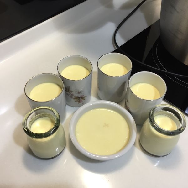 undefined：101 一起做