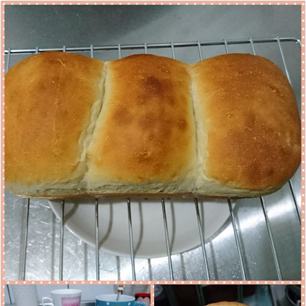 undefined：Susan Wu 一起做