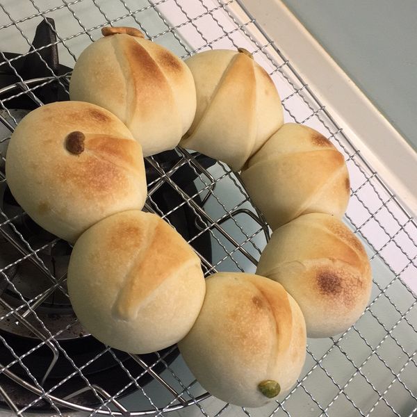 養樂多皇冠麵包 : OLu Lu一起做