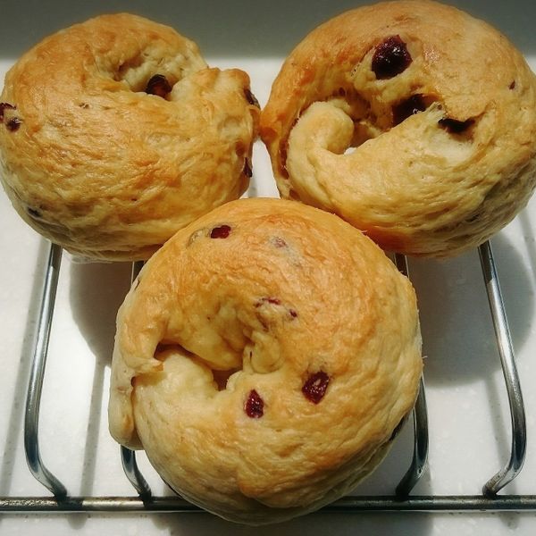 undefined：Judy Pan 一起做