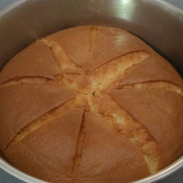 undefined：蔬食 舒食 一起做