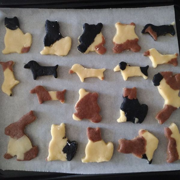 三花貓咪造型餅乾：周米兒 一起做