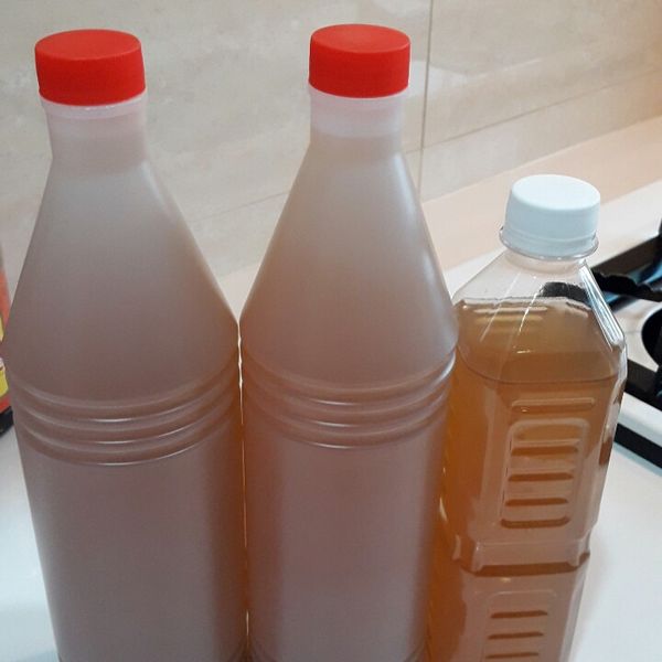 〔飲品〕麥仔茶 : 大頭一起做