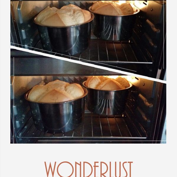 原味戚風蛋糕(6吋):游瓶子 一起做