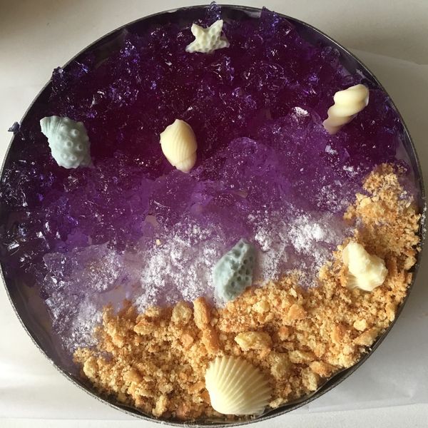 海洋戀夏免烤乳酪蛋糕 : ひ とみ一起做