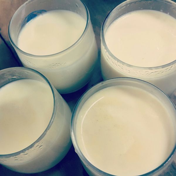 雞蛋牛奶布丁-無添加香草精（電鍋版） : 黃咪咪一起做