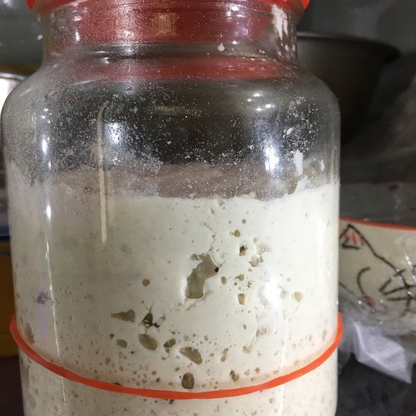 天然草莓酵母麵種:李佳雯 一起做