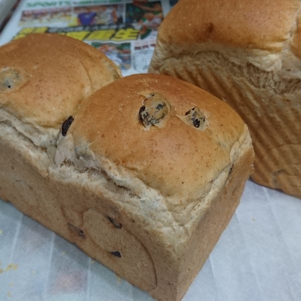 undefined：我吃故我在 一起做