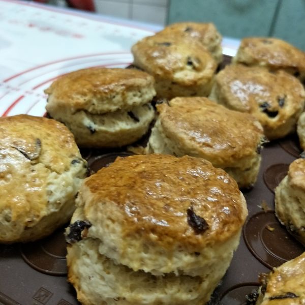 蔓越莓優格司康 : albee一起做