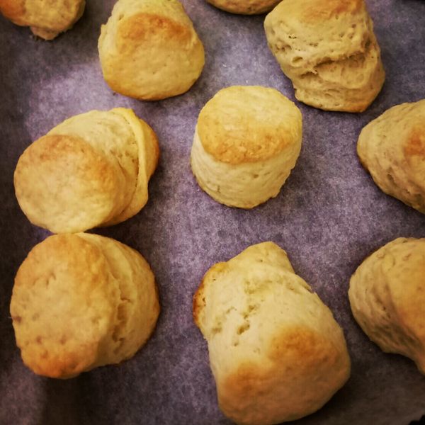 優格司康 : jasica一起做