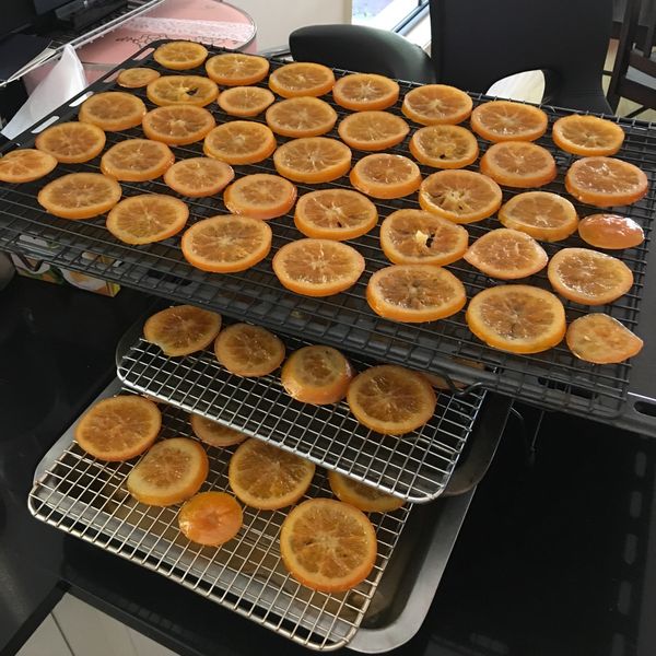 undefined：Tina 一起做