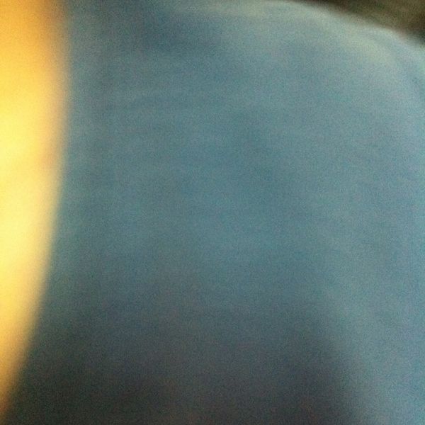 鹹水雞 : 陳錦湄一起做