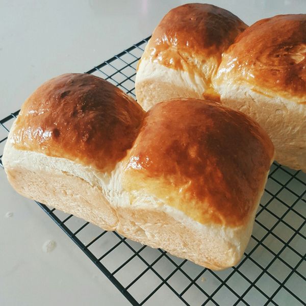 鮮奶湯種蜂蜜優格吐司：Fion 一起做