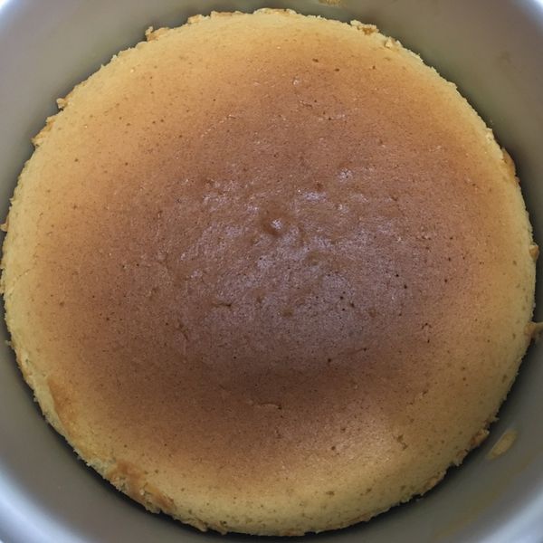 豹紋蜂蜜棉花蛋糕，潮翻啦! : 😊一起做